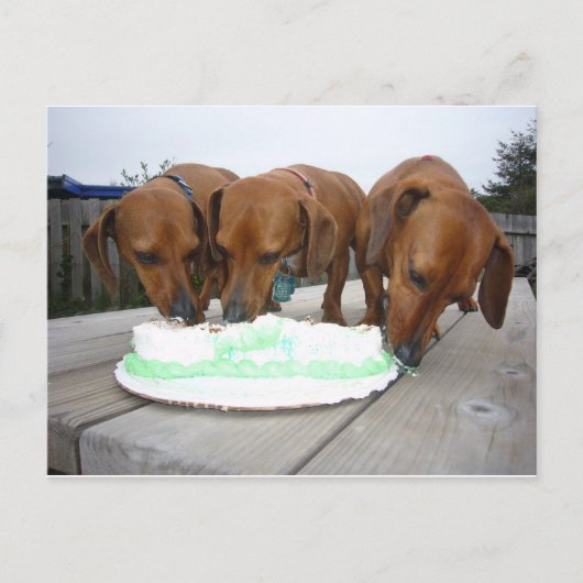 St Pattys Day Briefkaart (Voorkant)