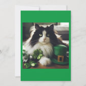 St. Patty's Day Cat (Voorkant)