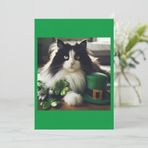 St. Patty's Day Cat