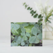 St Pattys Day Clover Mix Briefkaart (Staand voorkant)