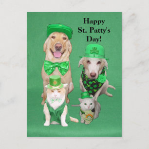 St. Patty's Day Get Together Briefkaart