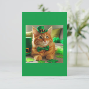 St. Patty's Day Sinaasappel Tabby Cat
