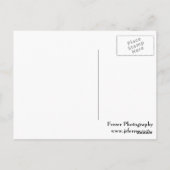 St. Paul Cathedral bij nacht Briefkaart (Achterkant)