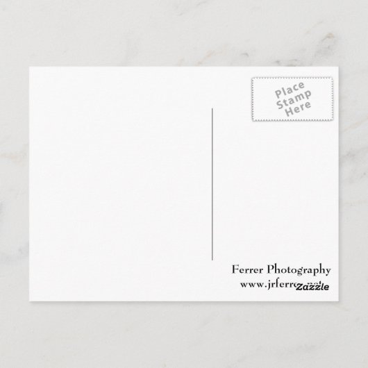 St. Paul Cathedral bij nacht Briefkaart (Achterkant)