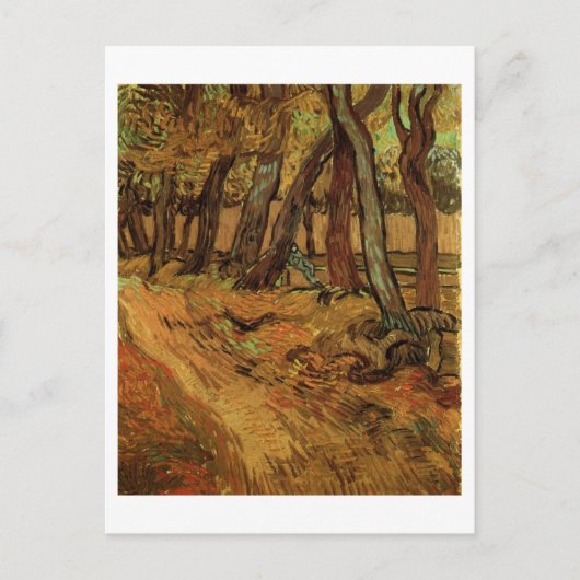 St. Paul Hospital Garden & Figuur Van Gogh Fine Ar Briefkaart (Voorkant)