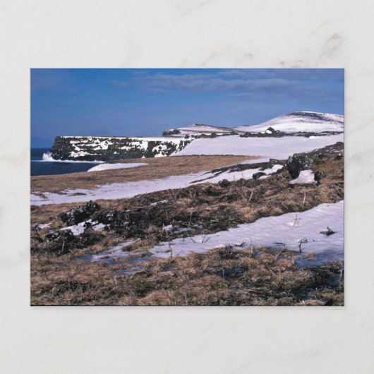 St. Paul Island Bird Cliffs, Southwest Point Briefkaart (Voorkant)