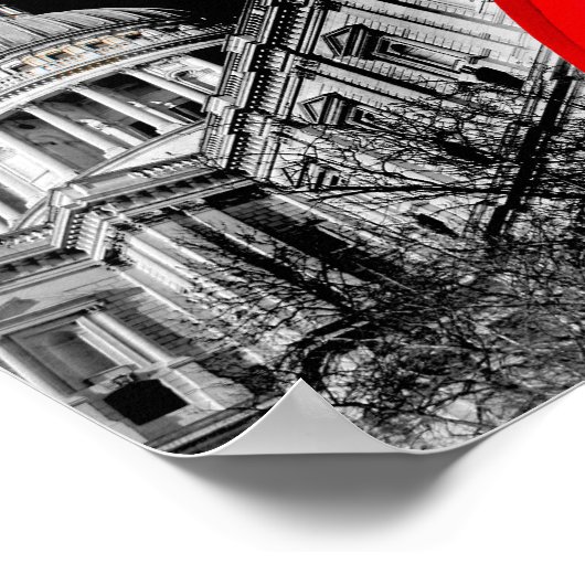 St. Paul's Cathedral Londen Engeland Poster (Hoek)
