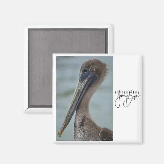 St. Pete Pelican 2x2 magneet (Voorkant / Achterkant)