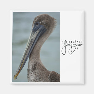 St. Pete Pelican 2x2 Magnet