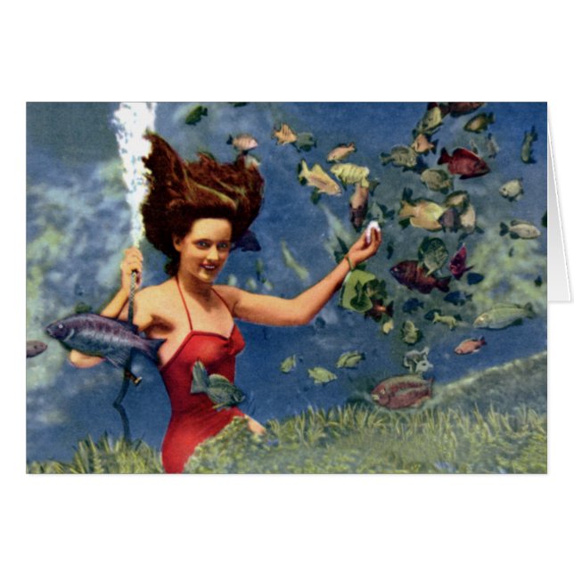 St. Petersburg Florida Weekiwachee Springs (Voorkant Horizontaal)