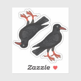 St. Piran's Day / St. Thomas Becket Choughs (fR) - Sticker