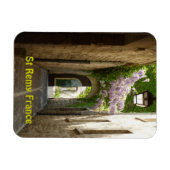 St Remy France magneet (Horizontaal)
