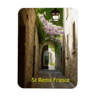 St Remy France magneet