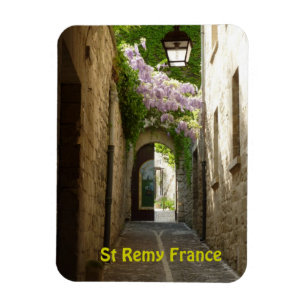 St Remy France Magnet Magneet