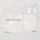 St. Sebastian door Guido Reni Briefkaart (Achterkant)