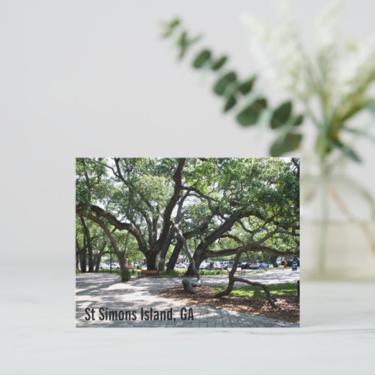 St Simons GA Wandering Oak Briefkaart (Staand voorkant)