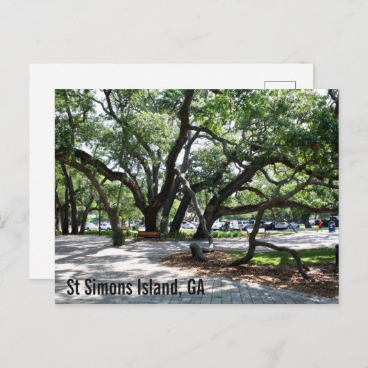 St Simons GA Wandering Oak Briefkaart (Voorkant / Achterkant)
