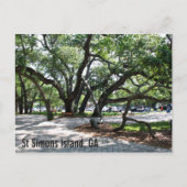 St Simons GA Wandering Oak Briefkaart (Voorkant)