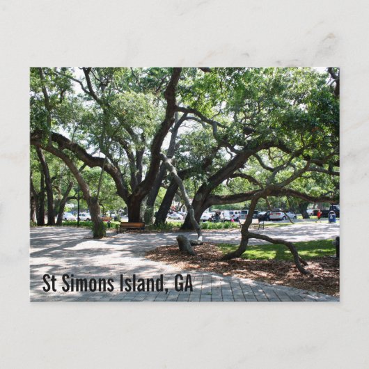 St Simons GA Wandering Oak Briefkaart (Voorkant)
