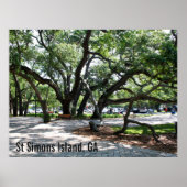 St Simons GA Wandering Oak Foto Poster (Voorkant)