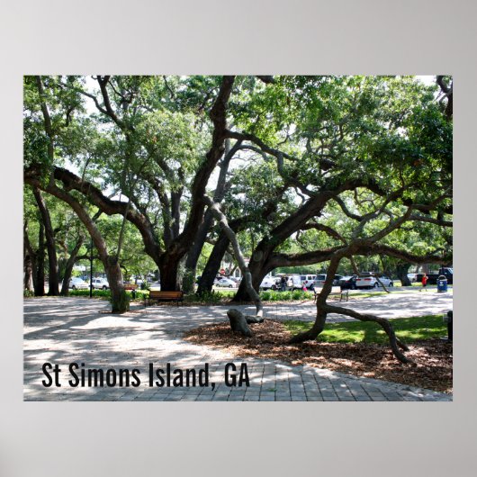 St Simons GA Wandering Oak Foto Poster (Voorkant)