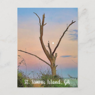 St. Simons Island, GA East Beach Sunset Briefkaart