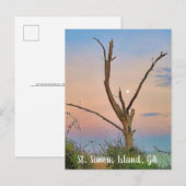 St. Simons Island, GA East Beach Sunset Briefkaart (Voorkant / Achterkant)