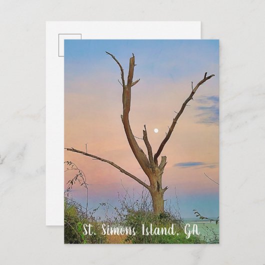 St. Simons Island, GA East Beach Sunset Briefkaart (Voorkant / Achterkant)