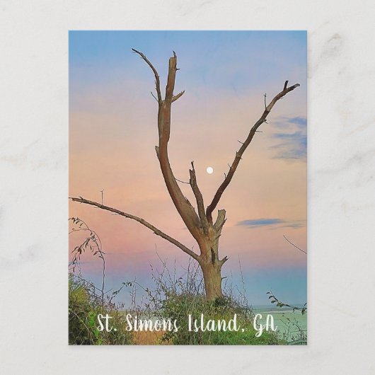 St. Simons Island, GA East Beach Sunset Briefkaart (Voorkant)