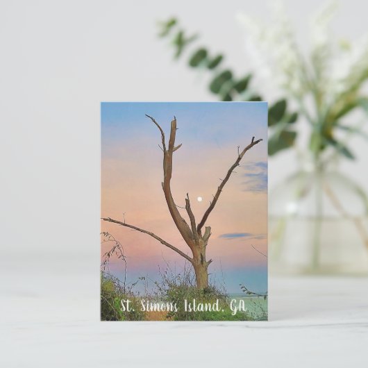 St. Simons Island, GA East Beach Sunset Briefkaart (Staand voorkant)