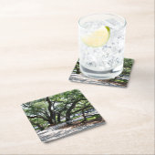 St Simons Island GA Wandering Oak Foto Kartonnen Onderzetters (Insitu)