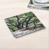 St Simons Island GA Wandering Oak Foto Kartonnen Onderzetters (Schuin)