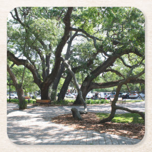 St Simons Island GA Wandering Oak Foto Kartonnen Onderzetters