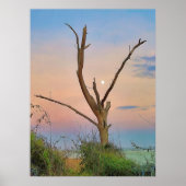 St. Simons Island Georgia Beach Sunset and Moon Poster (Voorkant)