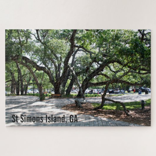 St Simons Island Live Oak Trees Legpuzzel (Horizontaal)