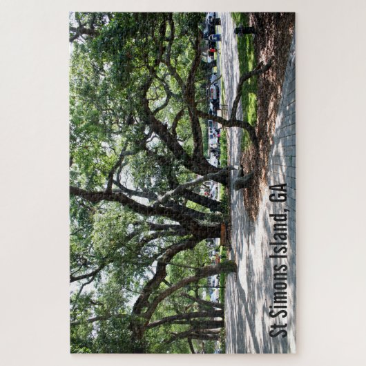 St Simons Island Live Oak Trees Legpuzzel (Verticaal)