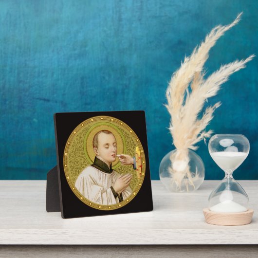 St. Stanislaus Kostka (SNV 25) (RoundImage) 5,25 i Fotoplaat (Insitu)