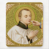 St. Stanislaus Kostka (SNV 25) (SQu Im) Vert Muismat (Voorkant)