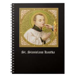 St. Stanislaus Kostka (SNV 25) (Square Afbeelding) Notitieboek