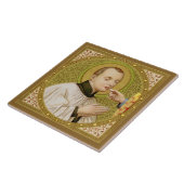 St. Stanislaus Kostka (SNV 25) Tile 4 Tegeltje (Zijkant)