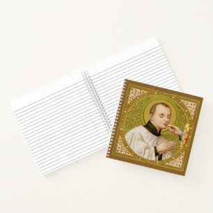 St. Stanislaus Kostka (SNV 25) (Vierkant Beeld) Notitieboek