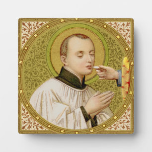 St. Stanislaus Kostka (SNV 25) (Vierkantige afbeel Fotoplaat