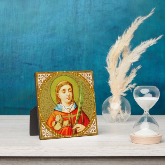 St. Stefan de ProtoMartyr (SNV 26) (SquareImage) Fotoplaat (Insitu)