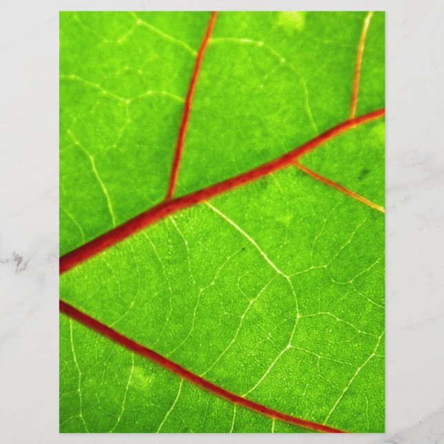 St. Thomas 1 (Voorkant)