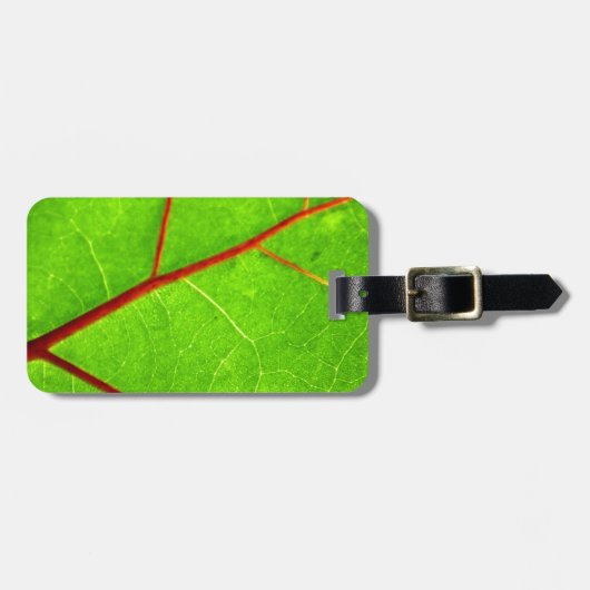 St. Thomas 1 Bagagelabel (Voorkant horizontaal)