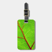 St. Thomas 1 Bagagelabel (Voorkant verticaal)