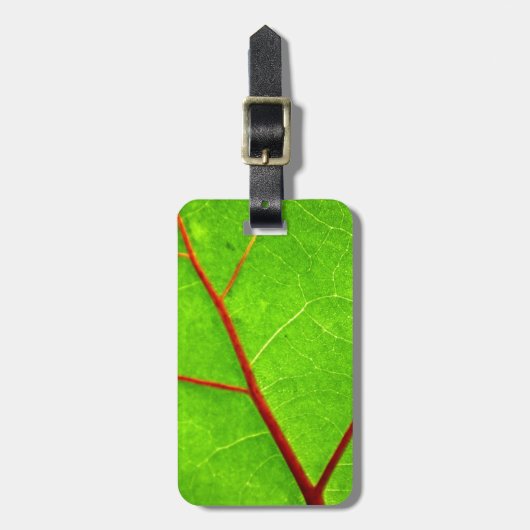 St. Thomas 1 Bagagelabel (Voorkant verticaal)