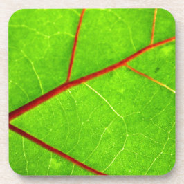 St. Thomas 1 Bier Onderzetter