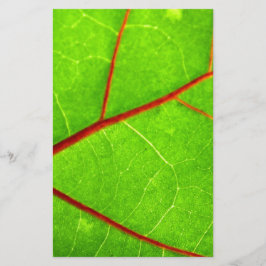 St. Thomas 1 Briefpapier