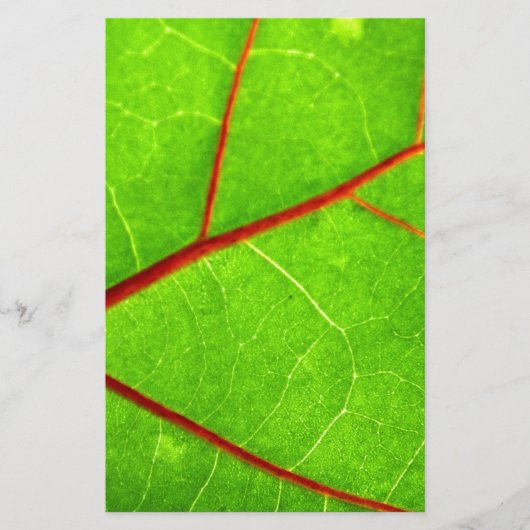 St. Thomas 1 Briefpapier (Voorkant)